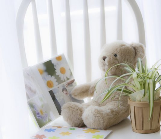 Самые полезные комнатные растения для детской - Красивоцветущие Самые полезные комнатные растения для детской