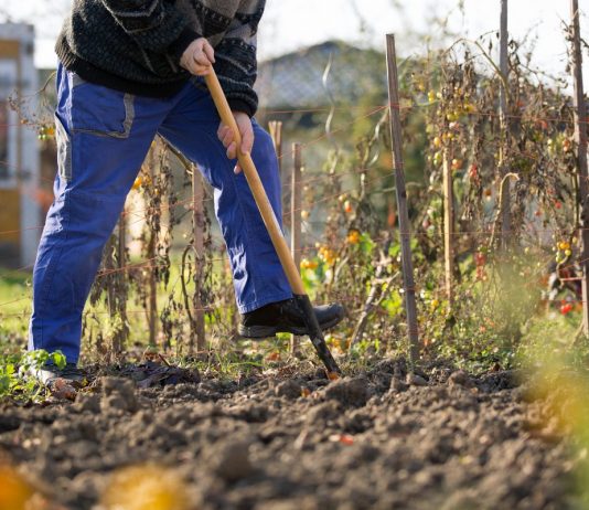 Зачем перекапывать почву осенью, и когда лучше не копать?