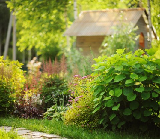 12 ошибок начинающих дачников