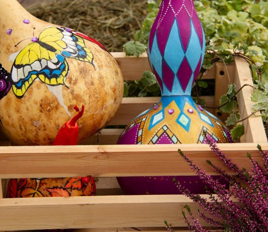 Посуда и другие поделки из лагенарии своими руками - Своими руками Посуда и другие поделки из лагенарии своими руками