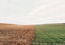 Правильная подготовка грунта к зиме: открытый и тепличный