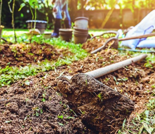 10 главных ошибок применения ЭМ-препаратов