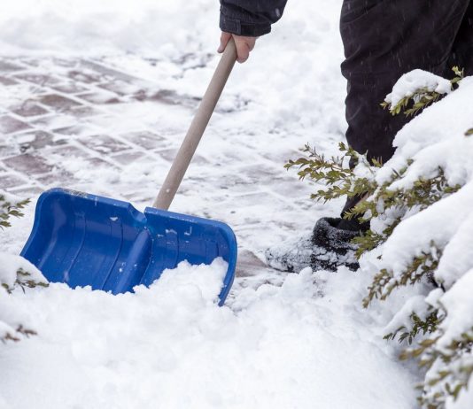 Что не забыть сделать в январе садоводу? - Календари Что не забыть сделать в январе садоводу?