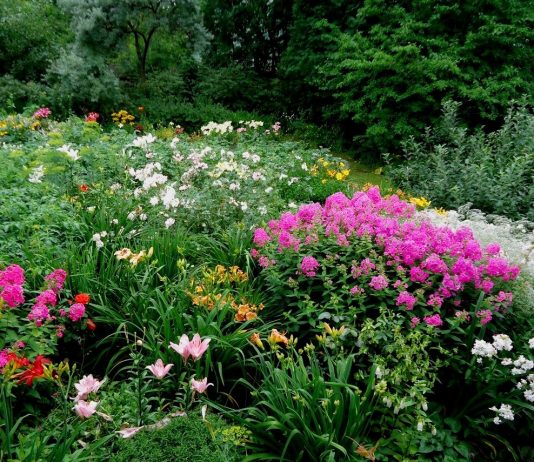 Как остановиться и перестать сажать?