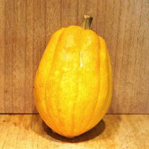Тыква «Желудь золотой» (Table Gold Acorn Squash)