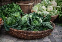 Капуста – одна из древнейших овощных культур, которая обладает лечебными свойствами