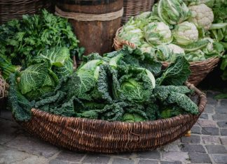 Капуста – одна из древнейших овощных культур, которая обладает лечебными свойствами