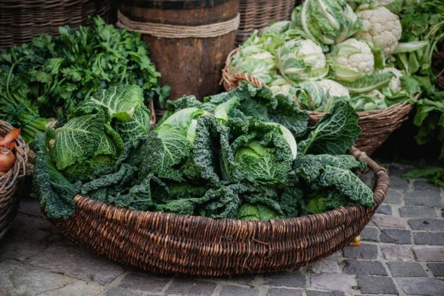 Капуста – одна из древнейших овощных культур, которая обладает лечебными свойствами
