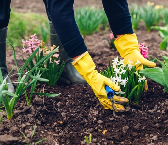 Что не забыть сделать в апреле садоводу?