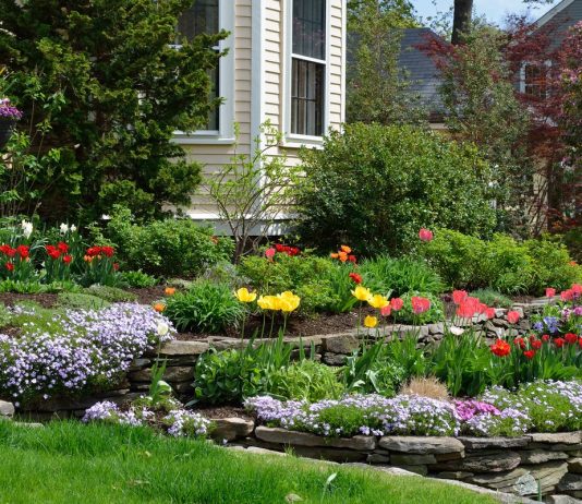 Яркий весенний палисадник из цветущих многолетников — создание и уход