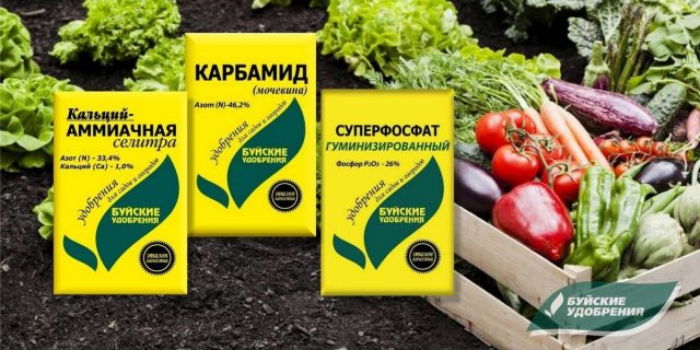 Чем подкормить сад и огород в мае