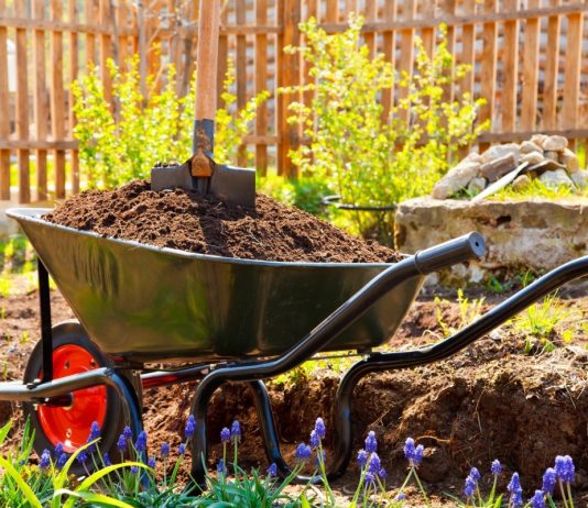 Весенняя подготовка грядок – в содружестве с природой! - НПО «Биотехсоюз» Одним из важных правил высокого урожая является своевременность проведенных работ