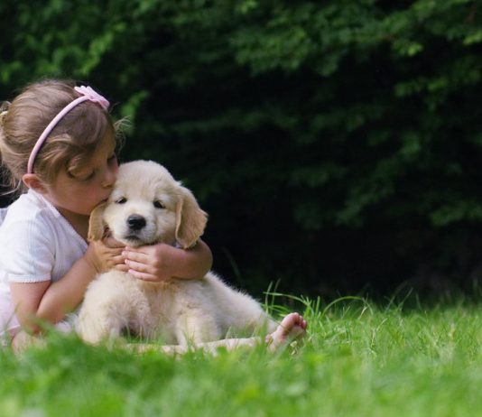 Приятные хлопоты – забота о любимых животных