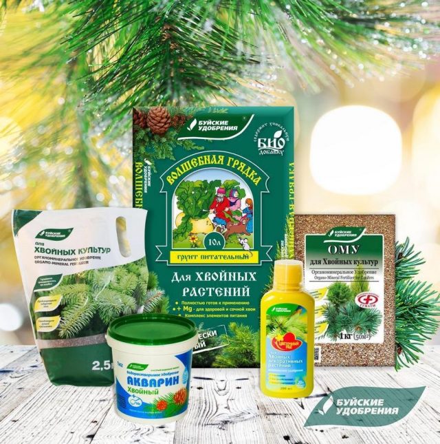 Удобрения для подкормки хвойных культур