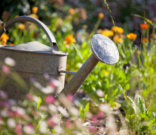 Что не забыть сделать в июле садоводу? - Календари Что не забыть сделать в июле садоводу?