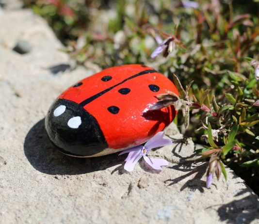 Красочные камни для сада своими руками — творим с удовольствием!