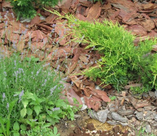 Старая и свежая кора, камень и геотекстиль для мульчирования