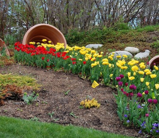 Модные цветники-«ручейки» — какие бывают и как создать?