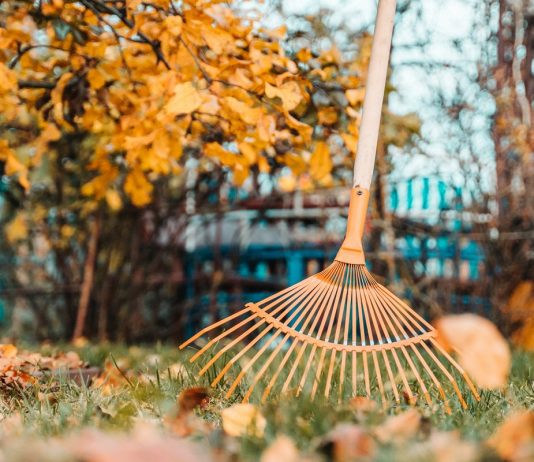 Что не забыть сделать в октябре садоводу?