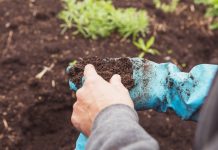 10 неочевидных проблем почвы, снижающих урожай на вашем участке