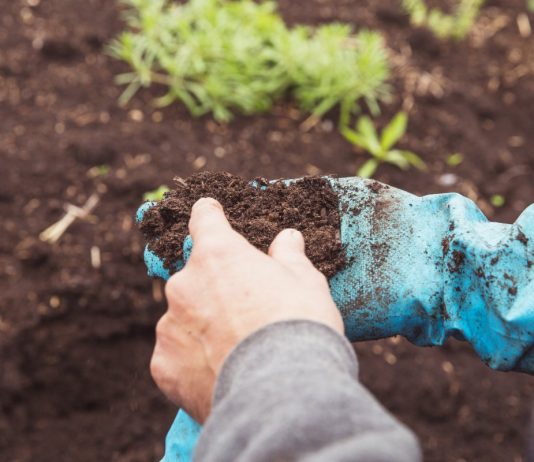 10 неочевидных проблем почвы, снижающих урожай на вашем участке