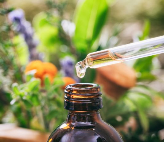 Лучшие народные заменители инсектицидов и фунгицидов