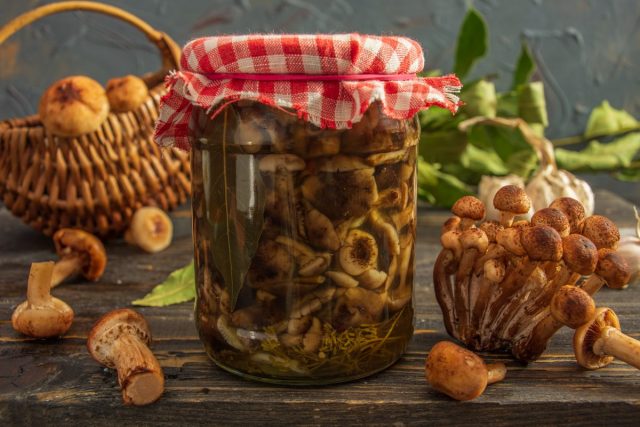 Маринованные опята с чесноком Маринованные опята с чесноком