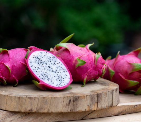 Питахайя — выращиваем гилоцереус из семян