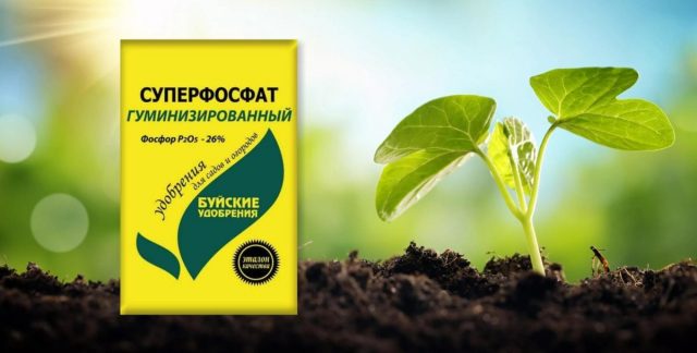 Суперфосфат гуминизированный - комплексное минеральное удобрение