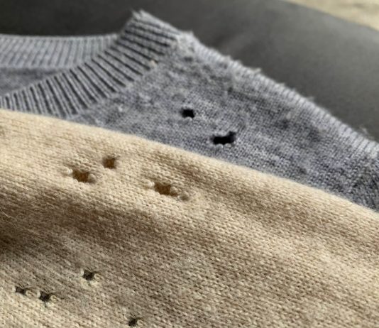 Какая бывает моль и как с ней бороться?