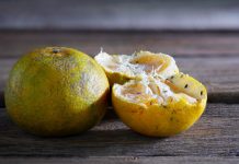 Откуда берутся плодовые мушки и как от них избавиться?