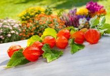 7 причин посеять физалис