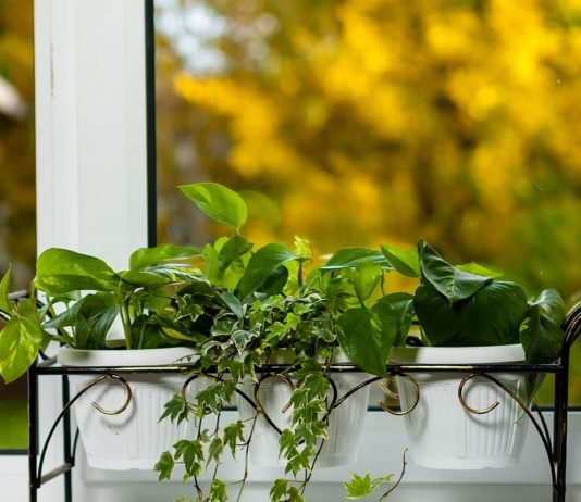 Оригинальные подставки для цветов на подоконник