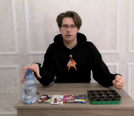 Сеем петунию двумя способами. Мастер-класс от агронома - Цветник и ландшафт