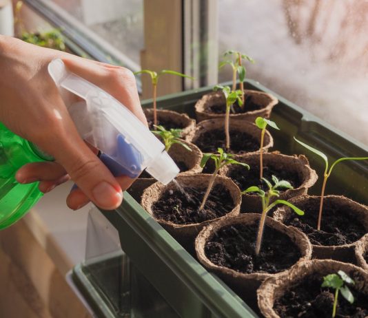 Что такое «Глиокладин» и «Трихоцин» — ответы специалистов