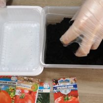 Проделываем в дне емкости дренажные отверстия и засыпаем грунтом Проделываем в дне емкости дренажные отверстия и засыпаем грунтом
