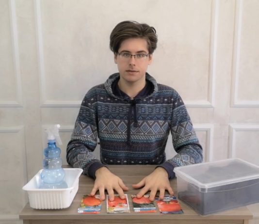 Низкорослые томаты — чем хороши и как их посадить на рассаду - Видео Низкорослые томаты — чем хороши и как их посадить на рассаду