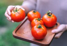 Зимние сорта томатов, которые у меня сохранились в свежем виде до весны
