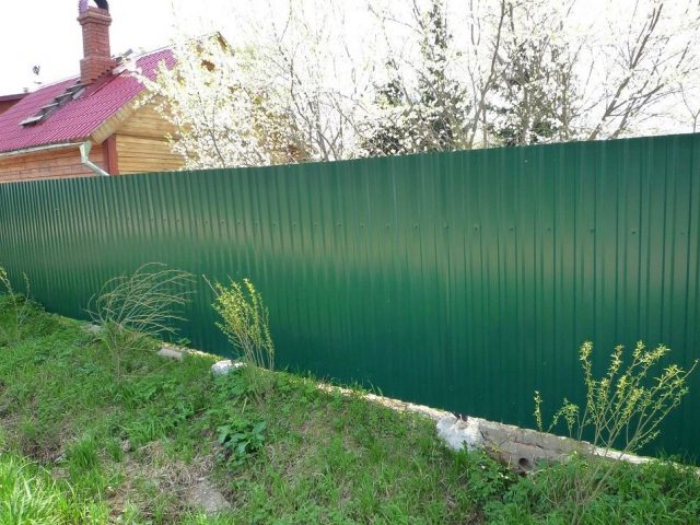 Эффективным решением для защиты от кошек может стать высокий забор из профлиста