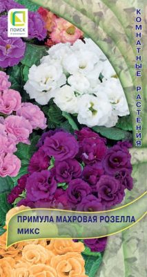 Примула махровая «Розелла Микс»