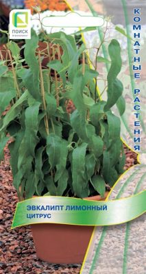 Эвкалипт лимонный «Цитрус»
