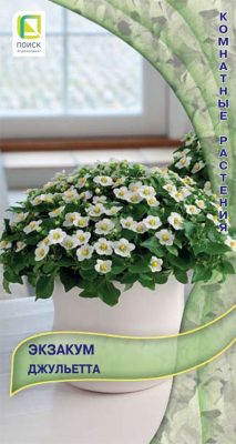 Экзакум «Джульетта»