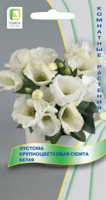 Эустома крупноцветковая «Сюита Белая»