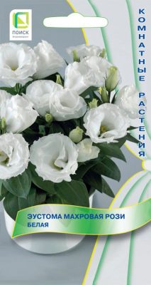 Эустома махровая «Рози Белая»