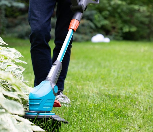 Идеальный газон — и просто, и сложно - Цветник и ландшафт Идеальный газон — и просто, и сложно