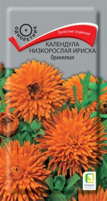 Семена растения календула низкорослая «Ириска Оранжевая»