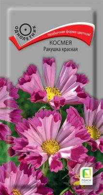 Семена растения космея «Ракушка красная»