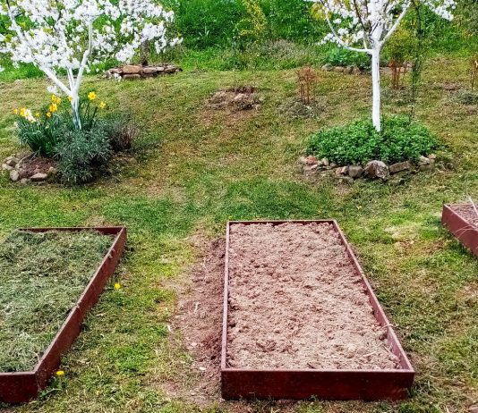 Наши грядки — для «вершков и корешков», земляники, бахчи и тыквы - Ягодник Наши грядки — для «вершков и корешков», земляники, бахчи и тыквы