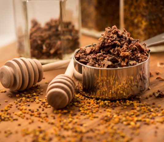 Пчелиные лекарства — прополис и перга - Животные Пчелиные лекарства — прополис и перга