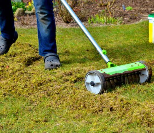 Весенний уход за газоном - Цветник и ландшафт Весенний уход за газоном